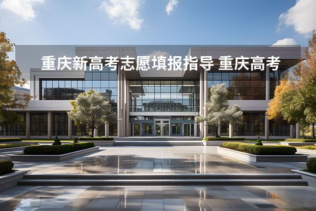 重慶新高考志愿填報指導(dǎo) 重慶高考志愿填報指南